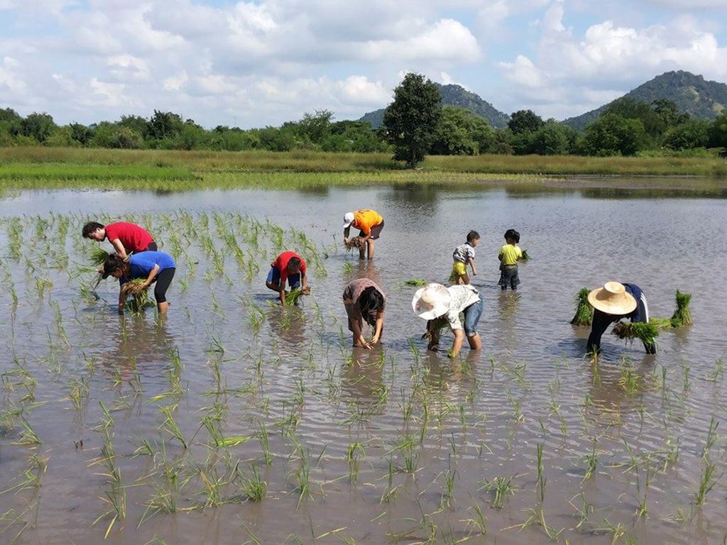 Wanlapa Farmstay Ban Khok Krathiam المظهر الخارجي الصورة