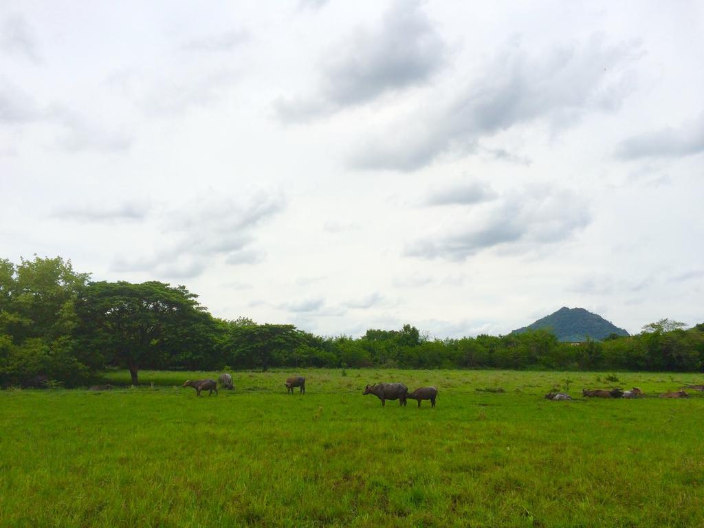 Wanlapa Farmstay Ban Khok Krathiam المظهر الخارجي الصورة