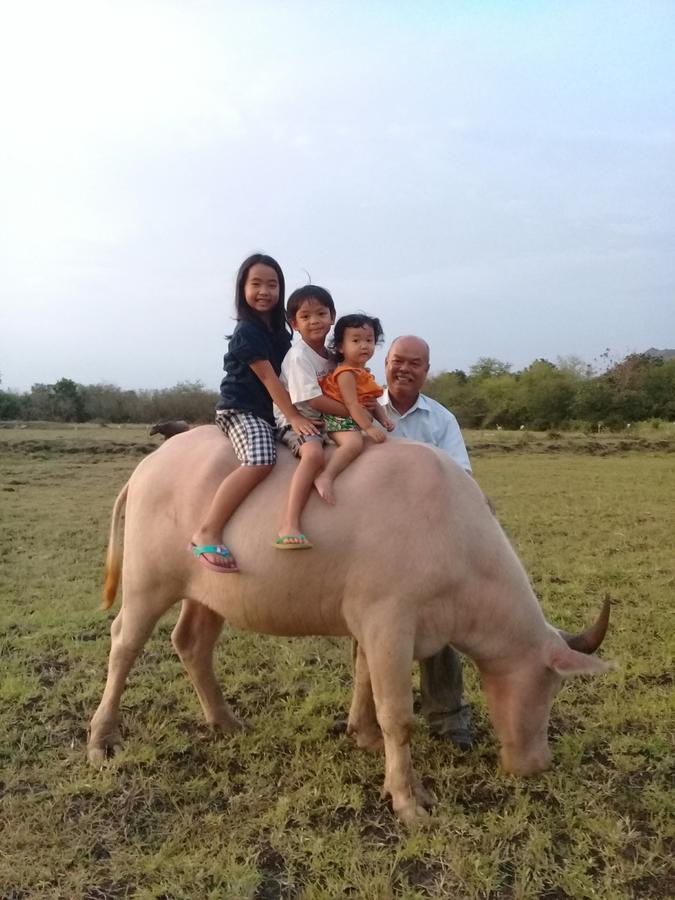 Wanlapa Farmstay Ban Khok Krathiam المظهر الخارجي الصورة