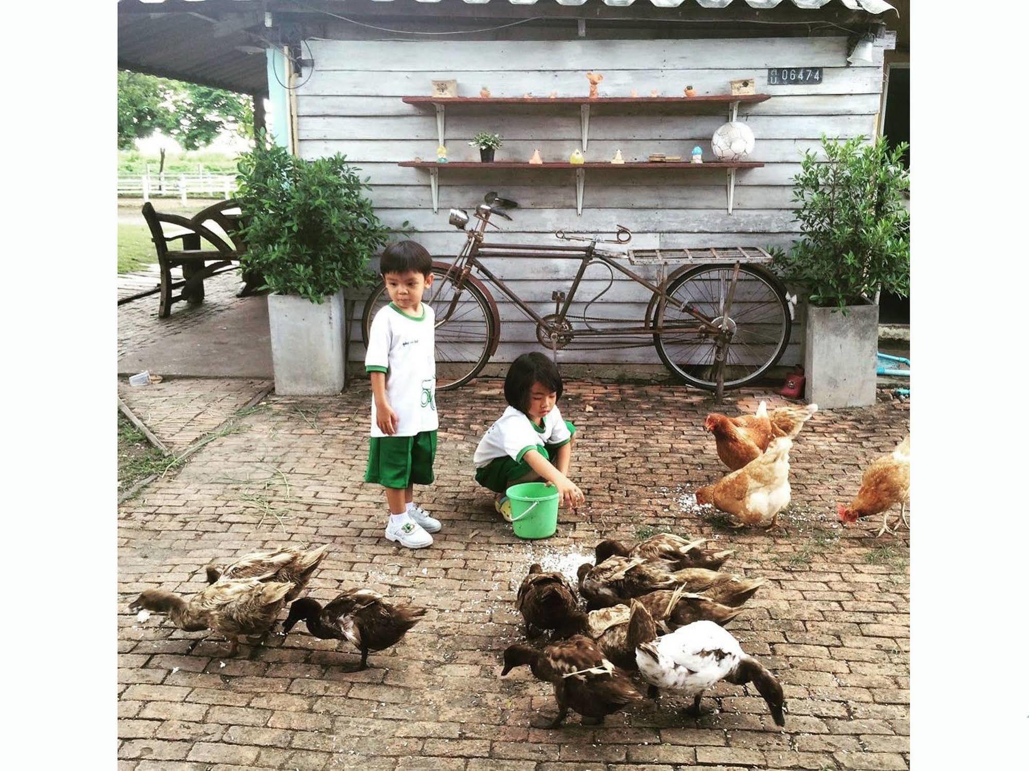 Wanlapa Farmstay Ban Khok Krathiam المظهر الخارجي الصورة