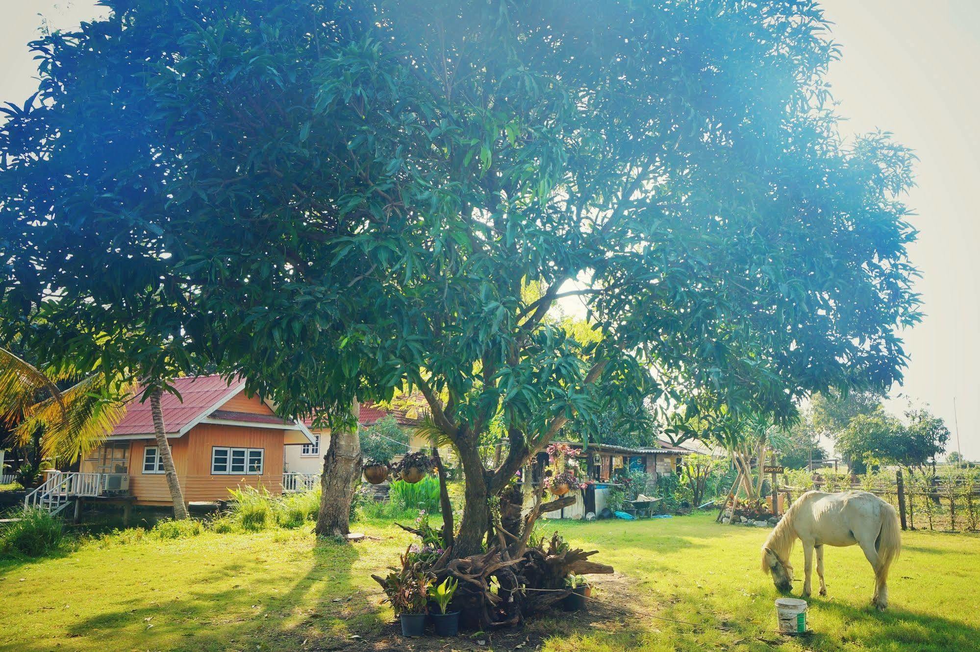 Wanlapa Farmstay Ban Khok Krathiam المظهر الخارجي الصورة
