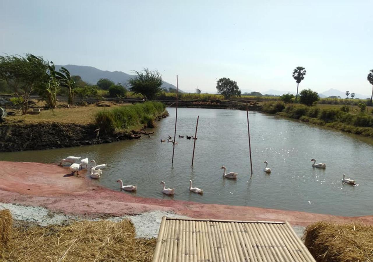 Wanlapa Farmstay Ban Khok Krathiam المظهر الخارجي الصورة